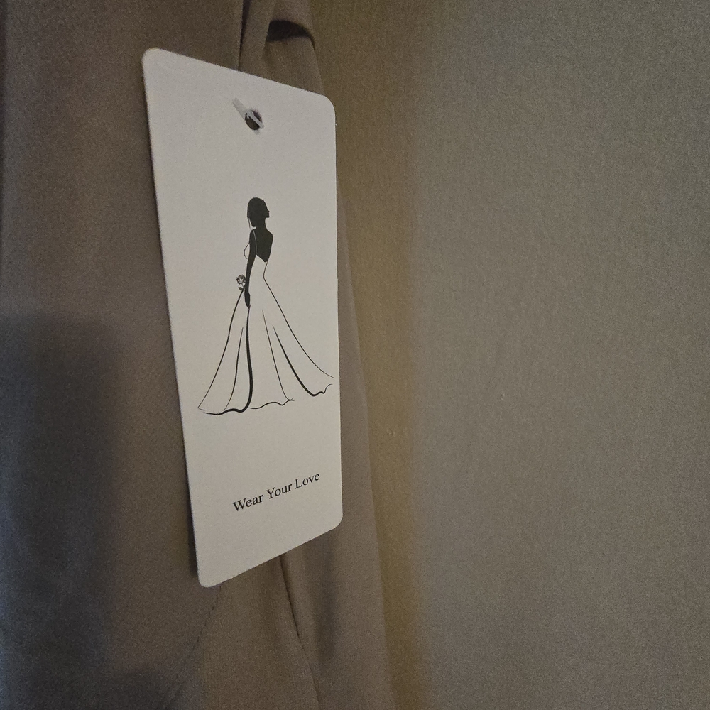 Elegant Taupe Evening Dress - Picture 4 of 5